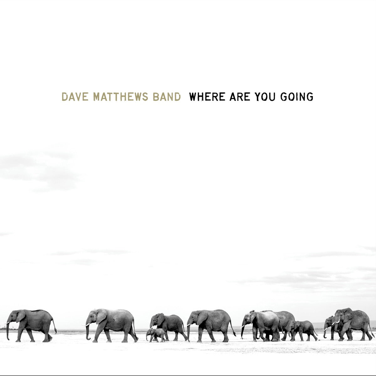 Dave Matthews Band Where Are You Going: The Singles album cover