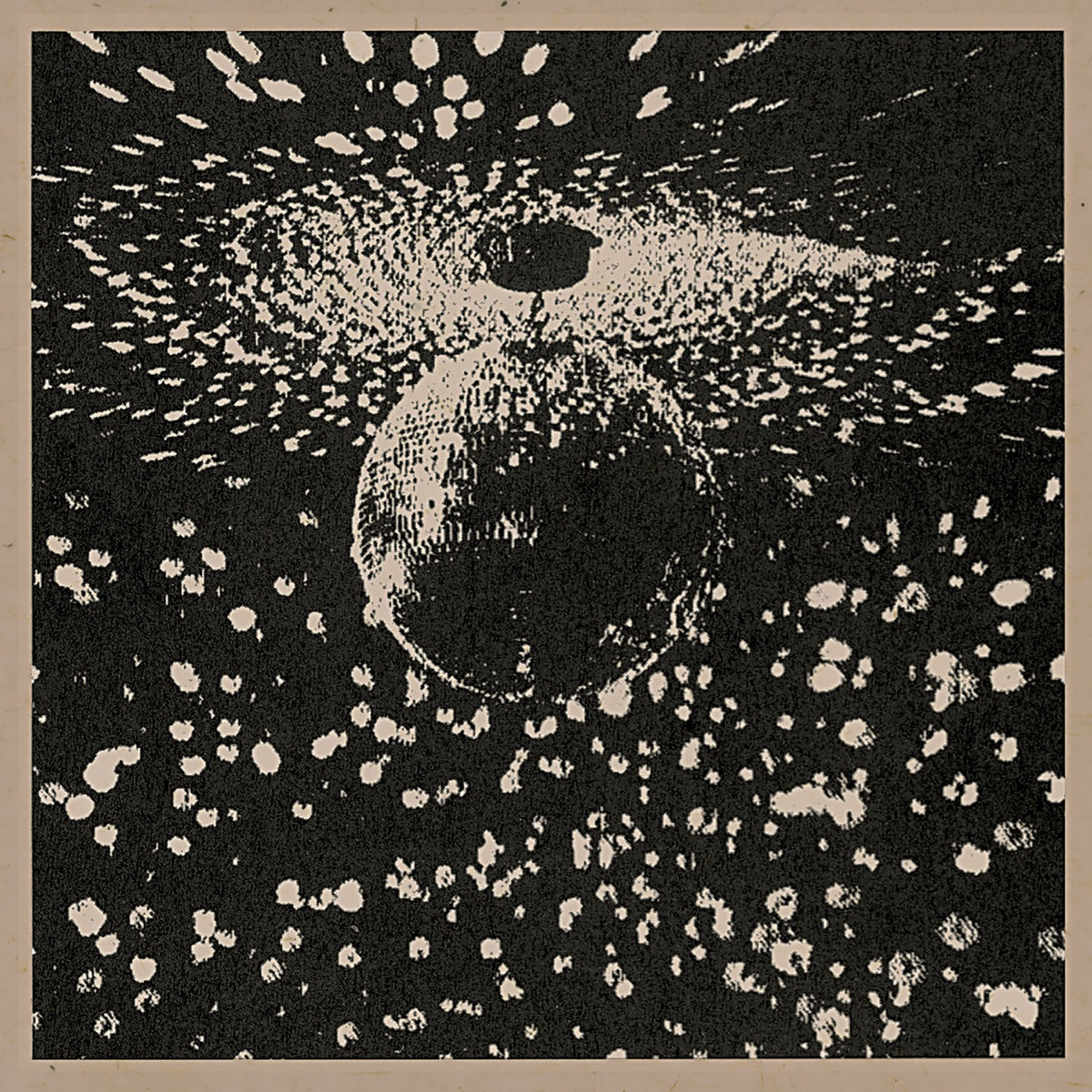 Neil Young - Mirror Ball CD cover