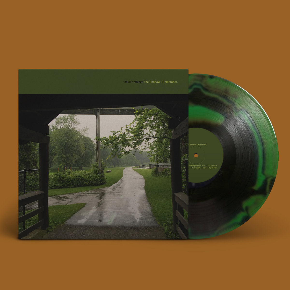 Cloud Nothings "The Shadow I Remember" LP