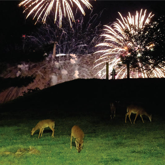 Home is Where "Hunting Season" 2xLP