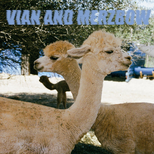 Merzbow and Pedro Vian "Inside Richard Serra Sculptures" LP