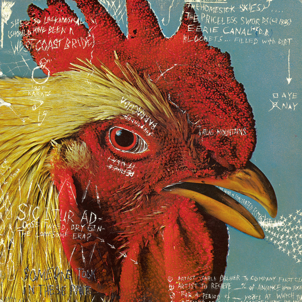 Pavement "Watery Domestic" 12"