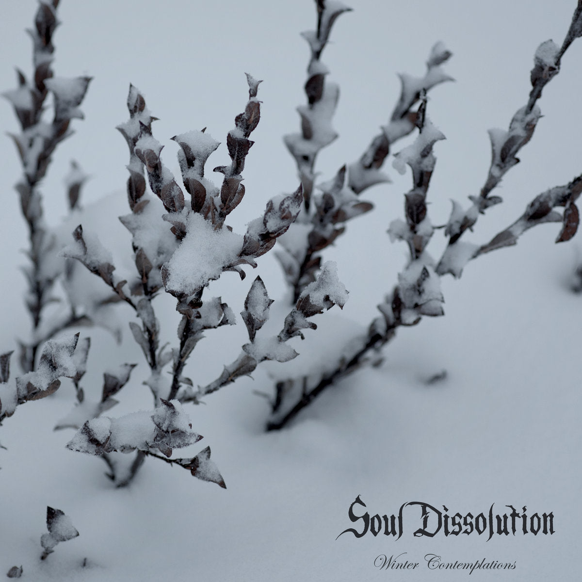 Soul Dissolution "Winter Contemplations" 12" LP