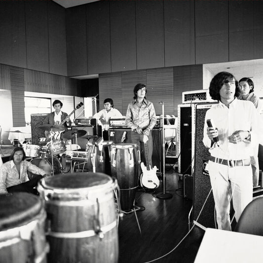 Los Texao "El Sonido Niebla De Los Texao" LP