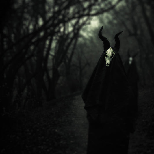 White Ward "Futility Report" LP