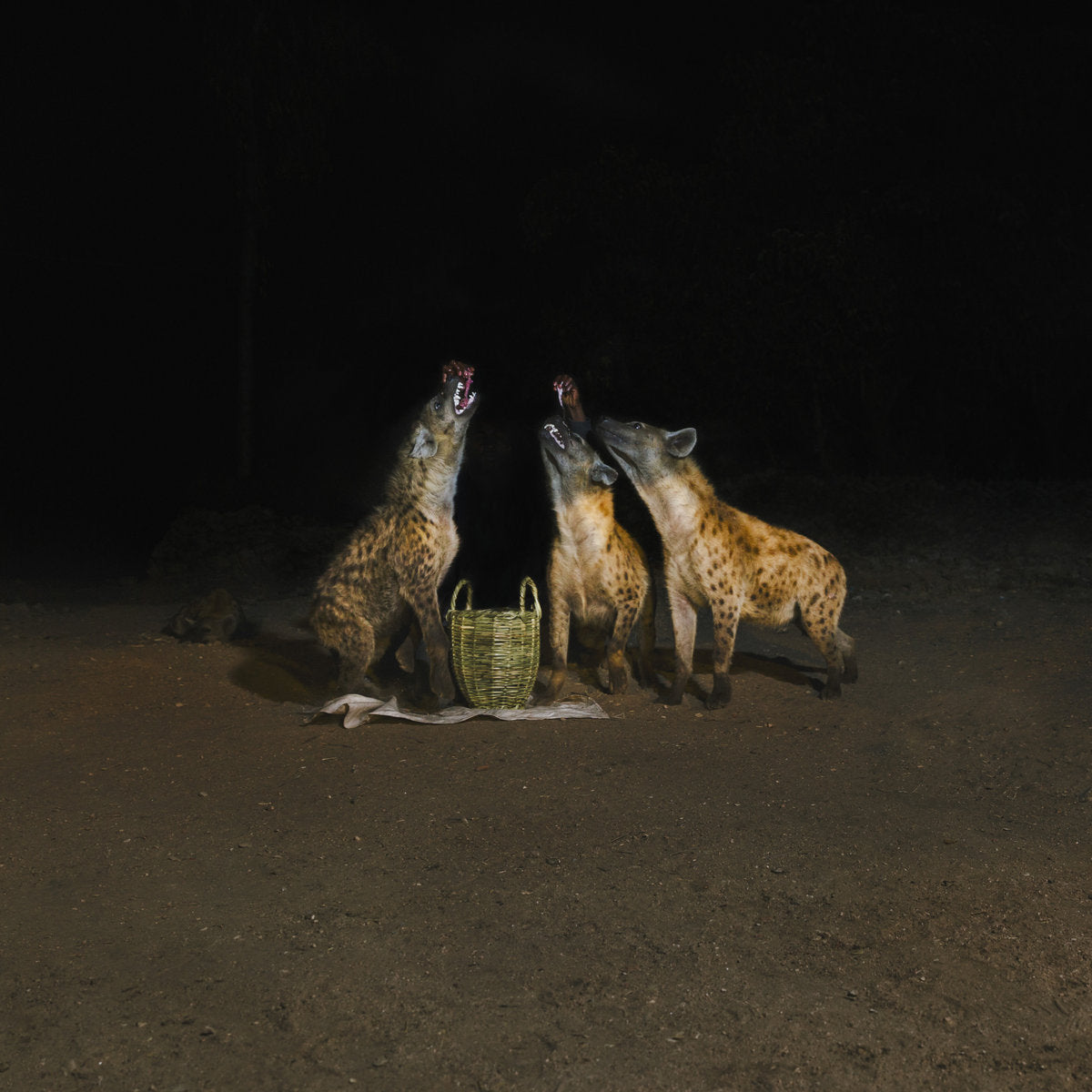 Years of Denial "Suicide Disco" 2xLP