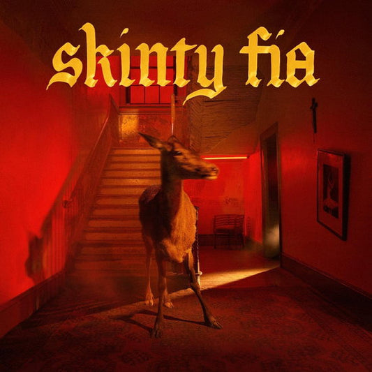 Fontaines D.C. Skinty Fia cover art