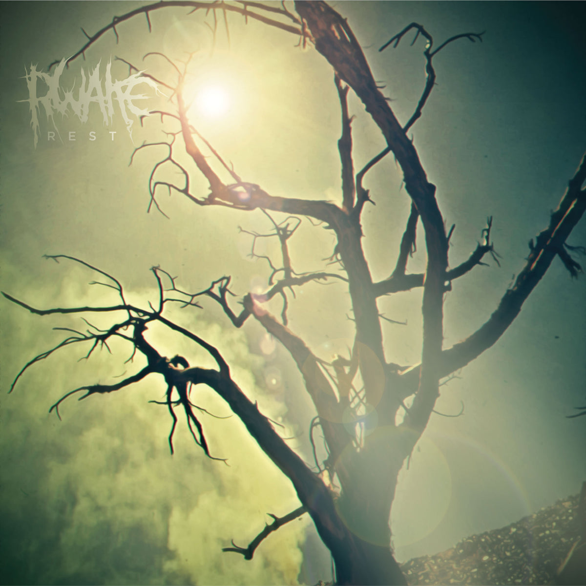 Rwake - Rest album cover