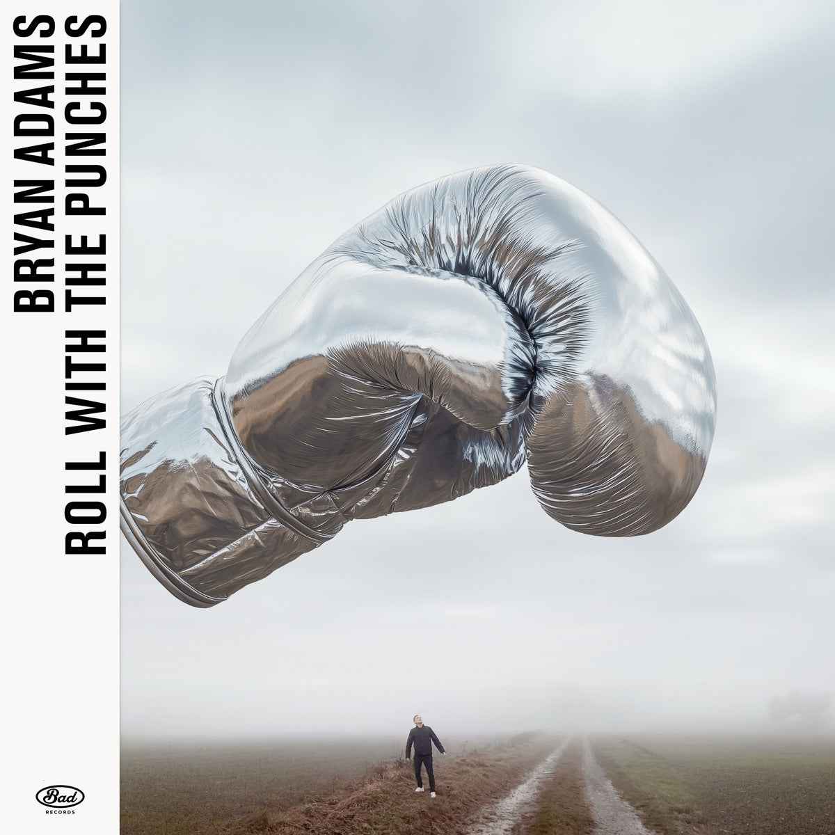 Bryan Adams Roll with the Punches (Deluxe) album cover