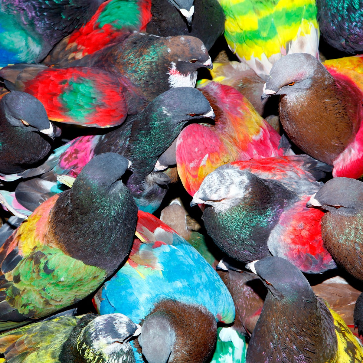 Blawan - Sickelixir cover art