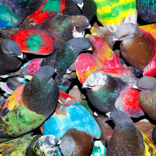 Blawan - Sickelixir cover art