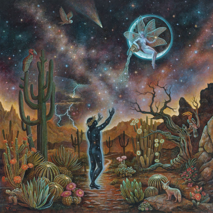 Dream Unending “Certain Uncertainties” (Color Vinyl) LP cover