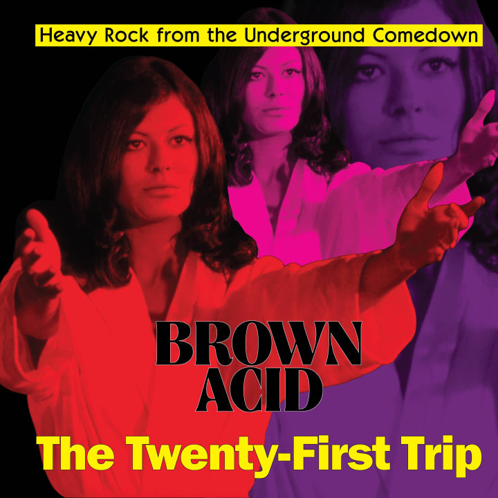 V/A "Brown Acid - The Twenty-First Trip" LP