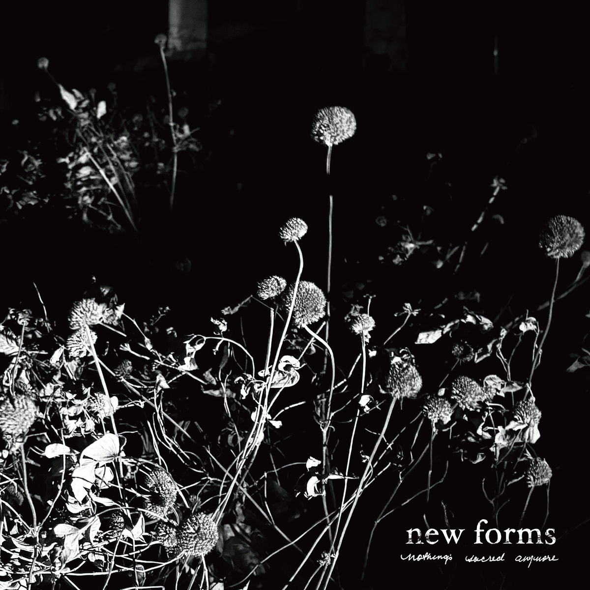 New Forms Nothing's Sacred Anymore cover art