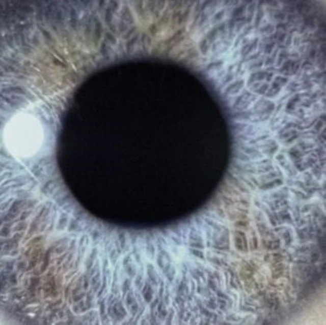 Dan Swano “Moontower” LP