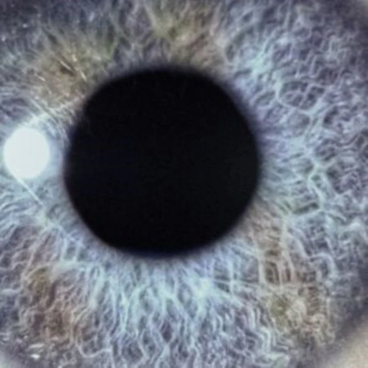 Dan Swano “Moontower” LP