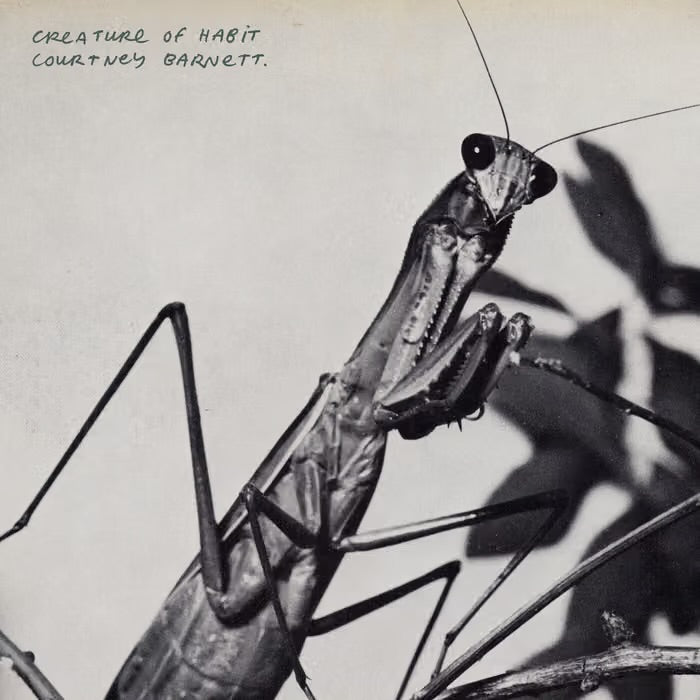 Courtney Barnett "Creature of Habit" LP