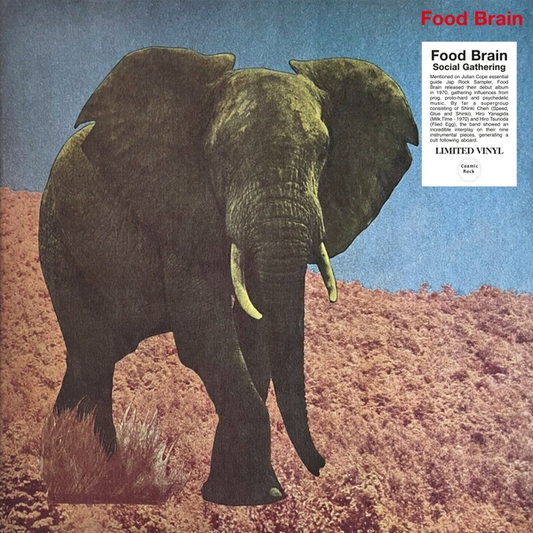 Food Brain “Social Gathering” LP