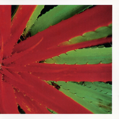 Jejune "This Afternoons Malady" 2xLP