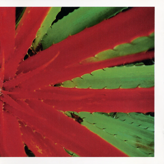 Jejune "This Afternoons Malady" 2xLP