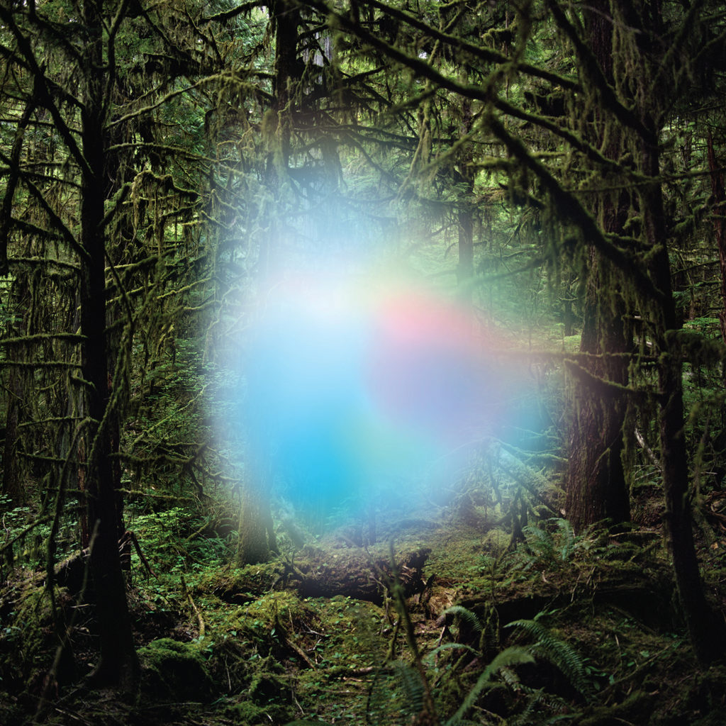 Ghosts of the Forest - S/T cover artwork