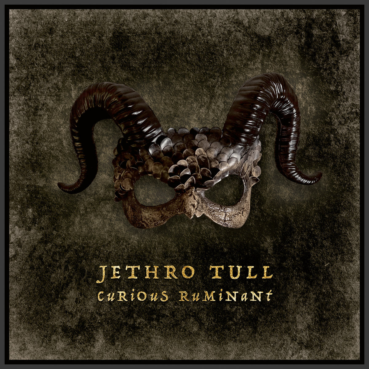 Jethro Tull Curious Ruminant album cover
