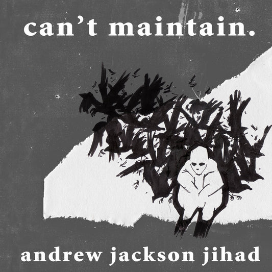 Andrew Jackson Jihad Can't Maintain album cover