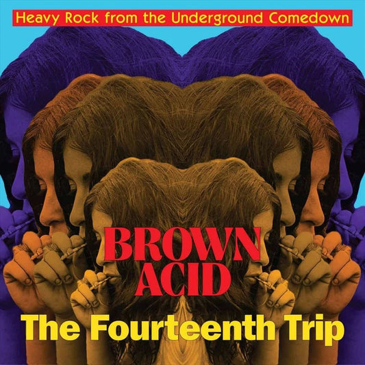 V/A "Brown Acid: The Fourteenth Trip" LP