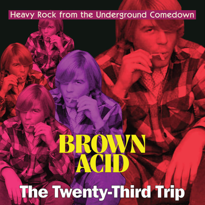 V/A “Brown Acid - The Twenty-Third Trip” CD