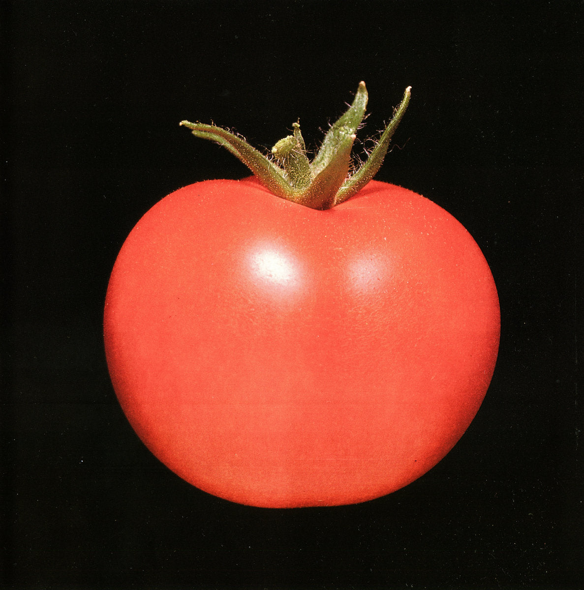 Chronophage "Chronophage" LP