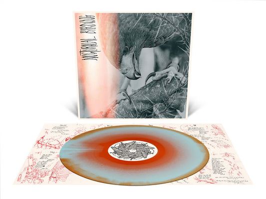 Author & Punisher "Nocturnal Birding" LP