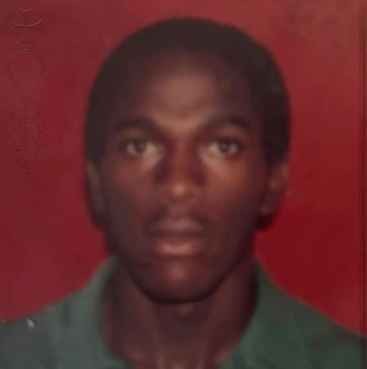 Daniel Caesar "Son of Spergy" 2xLP