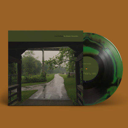 Cloud Nothings "The Shadow I Remember" LP
