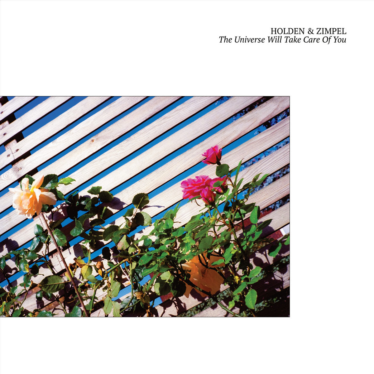 Holden and Zimpel "The Universe Will Take Care Of You " LP