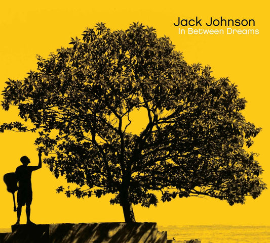 Jack Johnson "In Between Dreams" LP