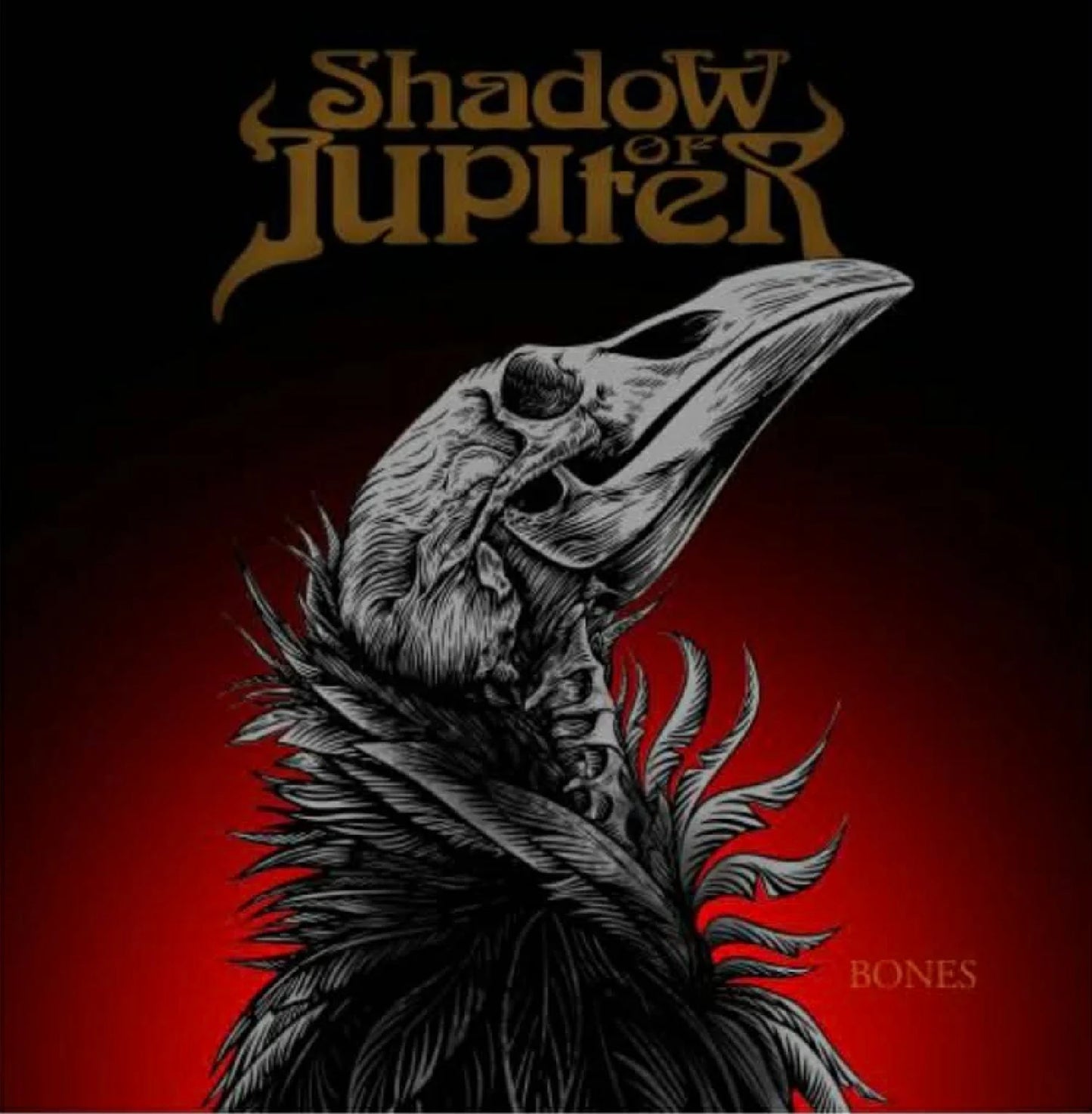 Shadow of Jupiter "Bones" LP