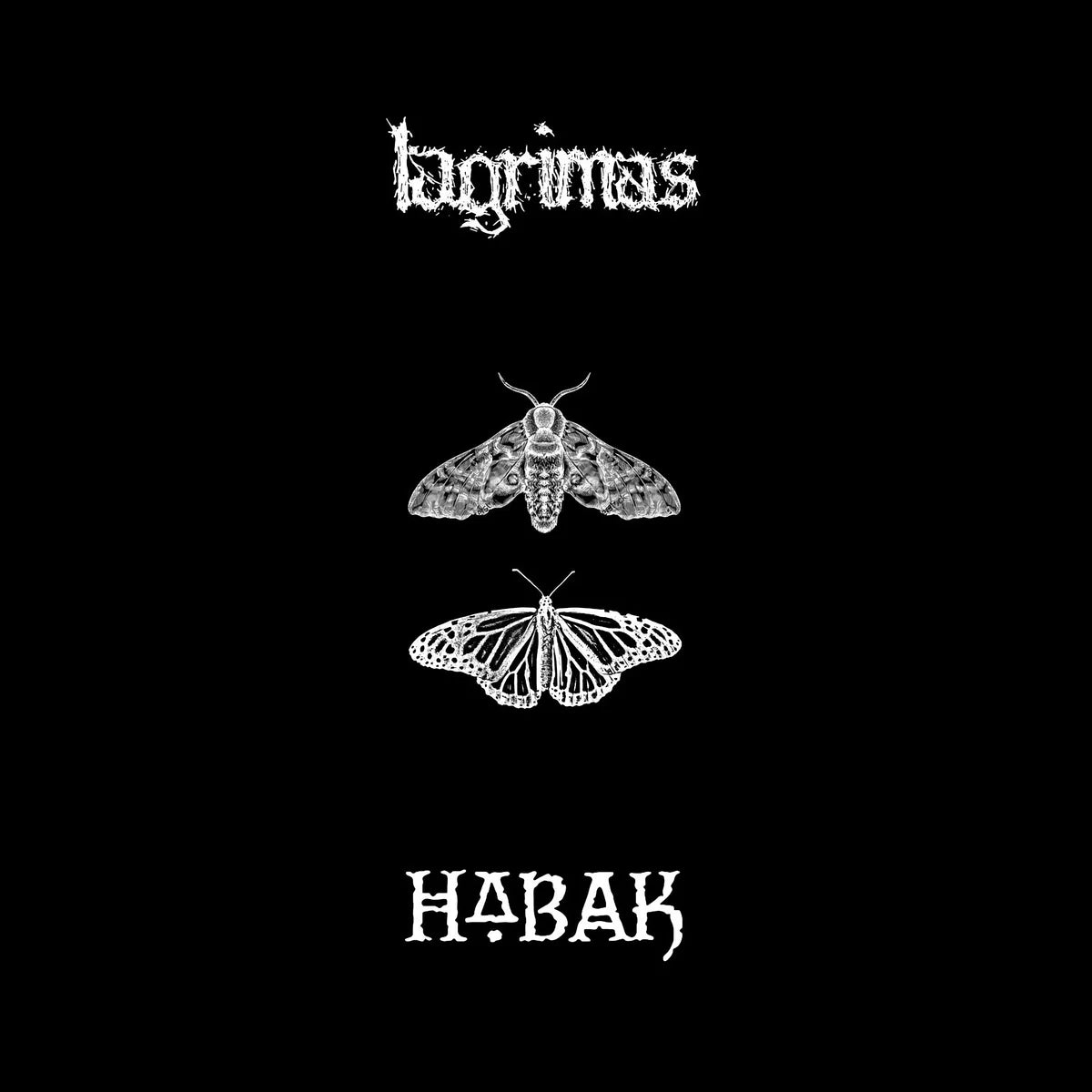 Habak / Lagrimas split LP