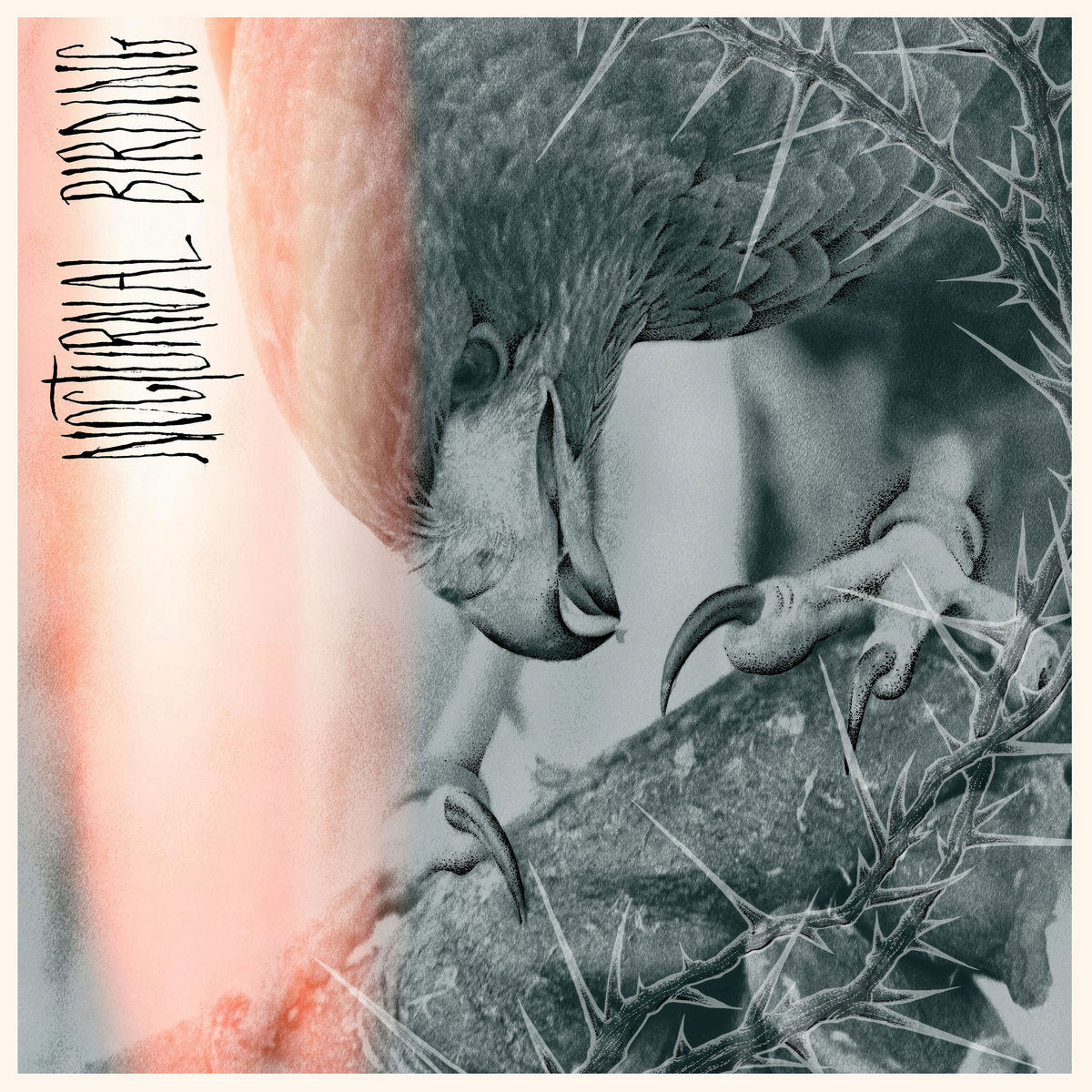 Author & Punisher "Nocturnal Birding" LP