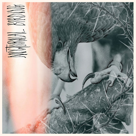 Author & Punisher "Nocturnal Birding" LP