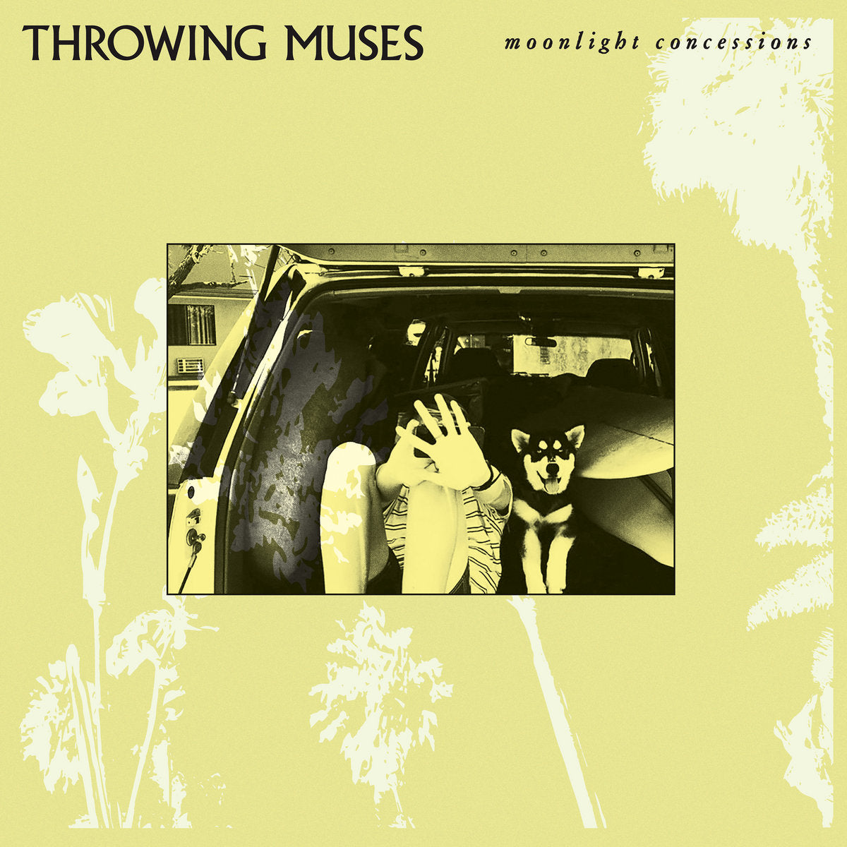 Throwing Muses "Moonlight Concessions" LP