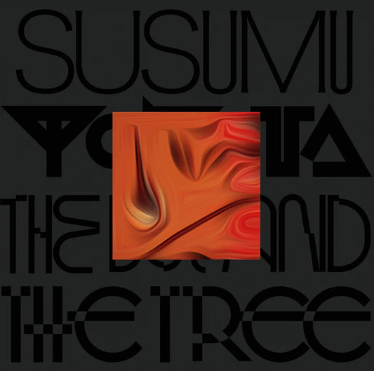 Susumu Yokota "The Boy And The Tree" 2xLP