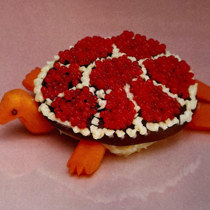 Sharp Pins "Turtle Rock" LP