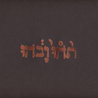 Godspeed You Black Emperor "Slow Riot for Zero Canada" LP