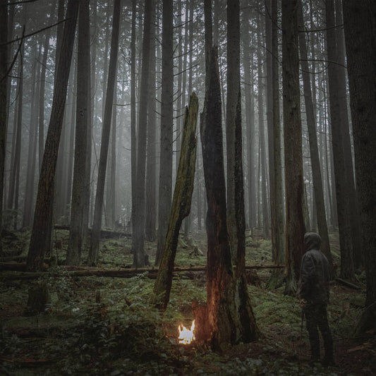 Baptists "Beacon of Faith" LP