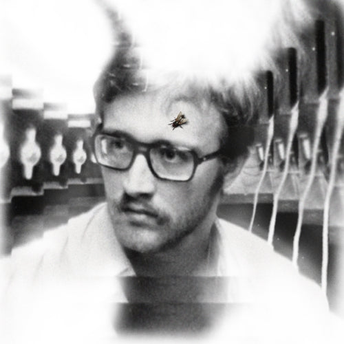 Damaged Bug "Bug on Yonkers" LP